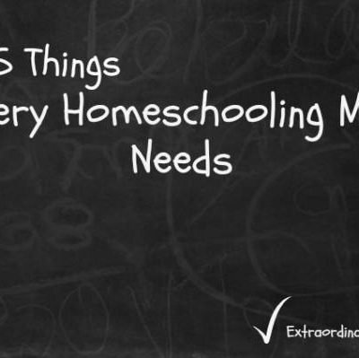 5 Things Every Homeschooling Mom Needs